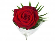 Róża 60 cm premium , cena 7,99 PLN za 1 szt., dostępna 13,02 ...