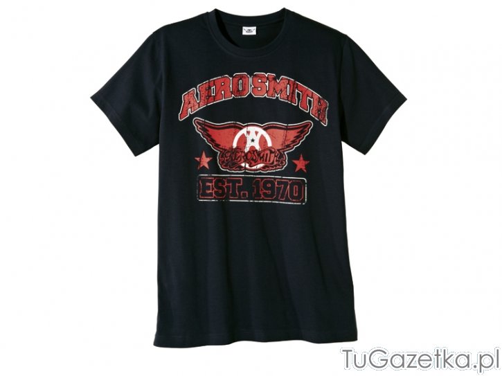T-shirt męski Aerosmith