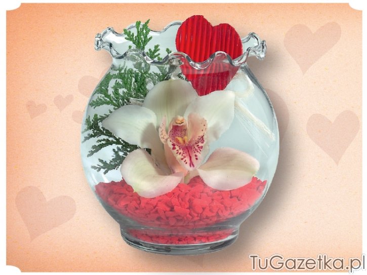 Orchidea w szklanej