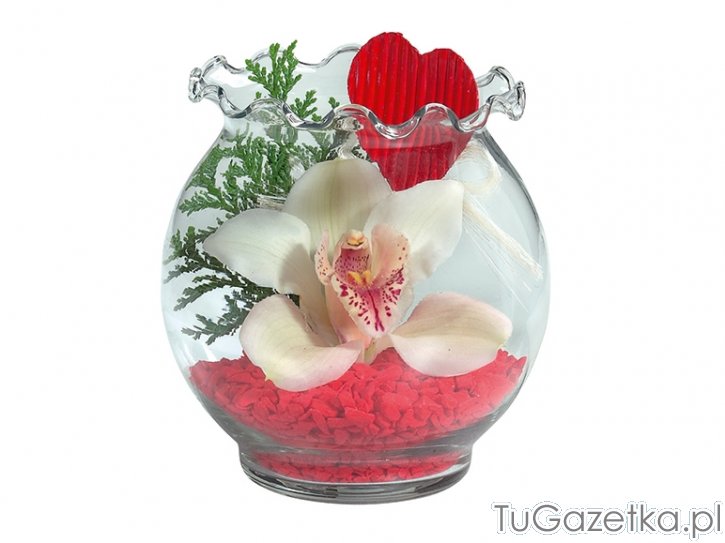 Orchidea w szklanej