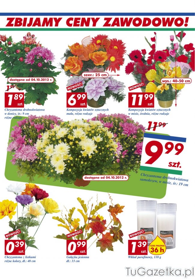 Gazetka Auchan Kwiaty