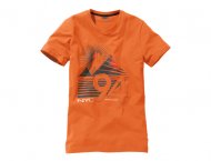T-shirt Livergy, cena 17,99 PLN za 1 szt. 
- materiał: 100% ...